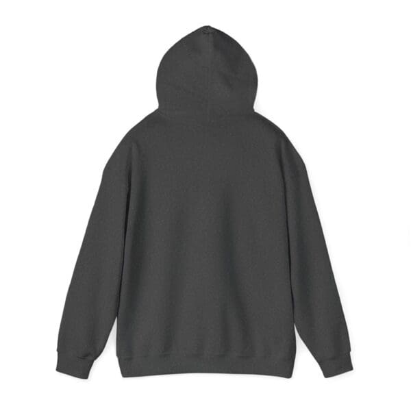 The back view of the Chipmunk Hoodie, a plain dark gray sweatshirt with a hood, is shown against a white background.