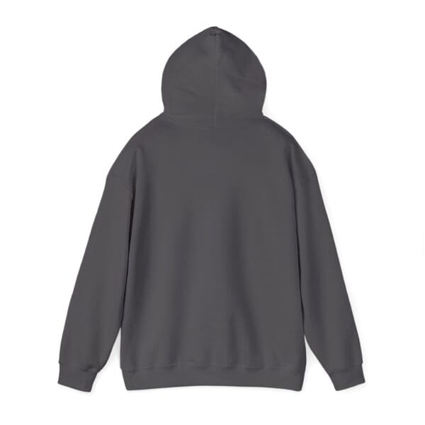 Back view of the Chipmunk Hoodie in a plain, dark gray color, set against a white background.